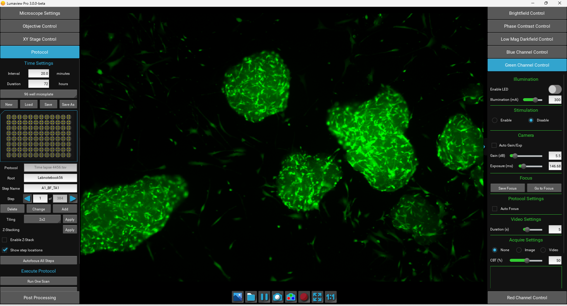 LVP Screenshot